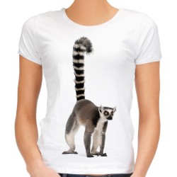 Koszulka z Lemurem damska z nadrukiem grafiką motywem lemura lemur na koszulce t-shirt