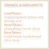 Orange & Bergamote wosk zapachowy dysk
