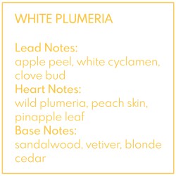White Plumeria wosk zapachowy pastylki