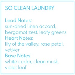 So Clean Laundry wosk zapachowy pastylki