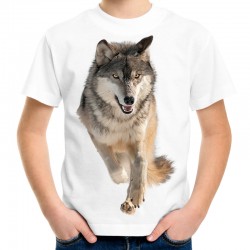 koszulka z wilkiem dla dziecka t-shirt z nadrukie motywem wilka wilk szary  wolf