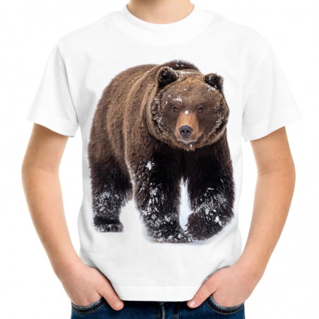 koszulka dziecięca z niedżwiedziem misiem t-shirt z nadrukiem motywem niedźwiedzia