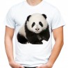 Koszulka z misiem panda niedźwiedziem męska miś t-shirt