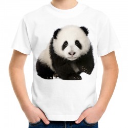 koszulka z misiem panda dziecięca dla dziecka chłopca dziewczynki t-shirt z niedźwiedziem