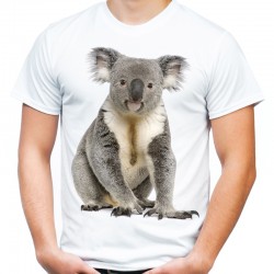 koszulka z misiem koala niedźwiedziem mis t-shirt z nadrukiem motywem misia
