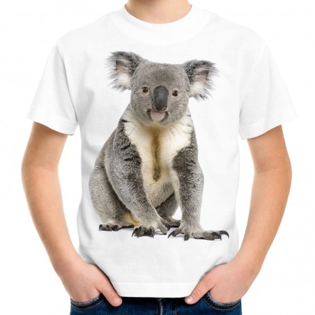 koszulka z misiem koala dziecięca dla dziecka chłopca dziewczynki miś