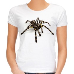 koszulka z pająkiem tarantulą tarantula damska t-shirt pająk tarantula ptasznik na prezent dla miłośniczki pająków