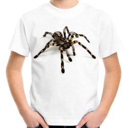 koszulka z pająkiem dziecięca dla dziecka tarantulą tarantula pająk t-shirt dla miłośnika hodowcy pająków na prezent