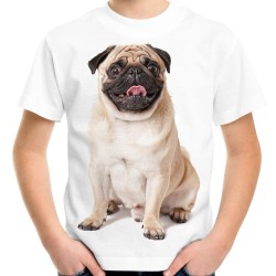 koszulka z psem mopsem pies mops t-shirt na prezent pug śmieszny mops na koszulce