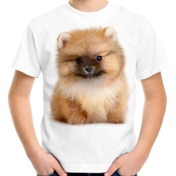 koszulka z psem szpic miniatutowy ze szpicem miniaturowym pomeranian t-shirt na prezent szczeniak