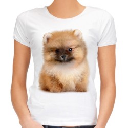 koszulka z psem rasy szpic miniaturowy miniaturka damska ze szpicem miniaturowym t-shirt z nadrukiem psa na prezent