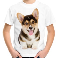 koszulka z psem rasy corgi Welsh Corgi Pembroke pies królewski królowej elżbiety na preznet t-shirt