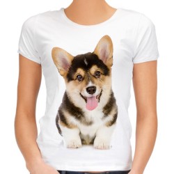 koszulka z psem welsh corgi pembroke rasy pies na preznet z grafiką motywem nadrukiem t-shirt psa