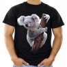 koszulka z misiem niedźwiedziem miś koala