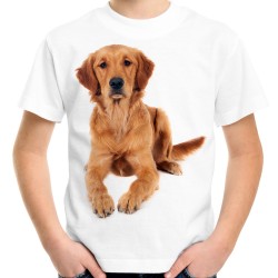 koszulka z psem golden retriever złoty z nadrukiem grafiką motywem psa na prezent dla dziecka chłopca