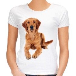 Koszulka damska z psem golden retriever rasy pies na prezent t-shirt z nadrukiem motywem grafiką psa goldena  retrievera