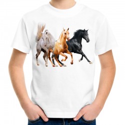 koszulka dla chłopca z koniem dziecięca z nadrukiem motywem grafiką konia jeździecka odzież sklep warszawa
