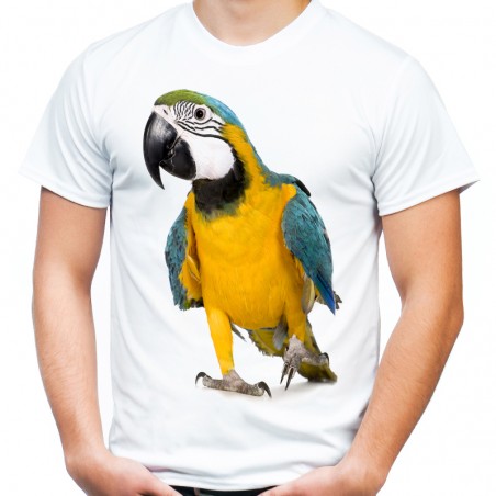 koszulka z papugą papuga Ara ptak kolorowa