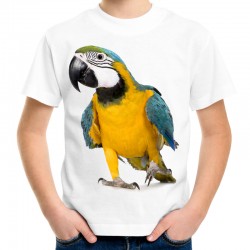 koszulka dziecięca z papugą kolorowy ptak egzotyczny