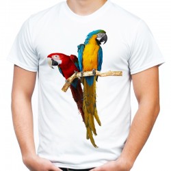 koszulka z papugami arami kolorowe ptaki egzotyczne