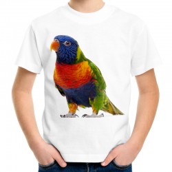 koszulka dziecięca z papugą Lorysa egzotyczny ptak kolorowy