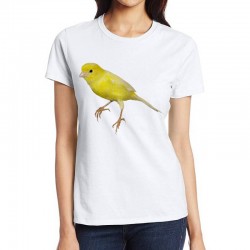 koszulka damska z kanarkiem spiew wiosna ptak domowy