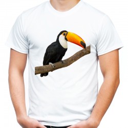 koszulka męska z tukanem ptak egzotyczny