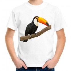 koszulka dziecięca z tukanem ptak egzotyczny