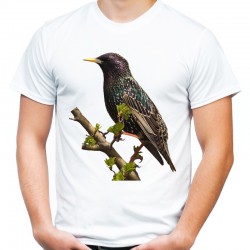 koszulka męska ze szpakiem ptak lesny