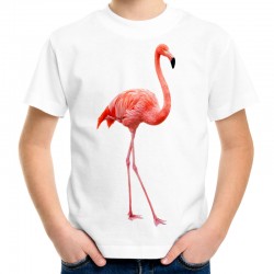 koszulka dziecięca z flamingiem różowy ptak egzotyczny