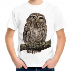 koszulka dziecięca z sową ptak t-shirt