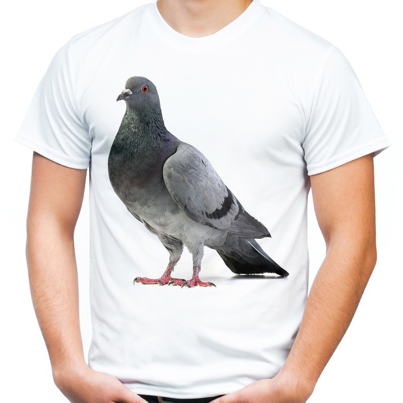 koszulka męska z gołębiem miejski ptak nadruk t-shirt