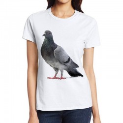 koszulka damska z gołębiem ptak nadruk t-shirt miejski skalny