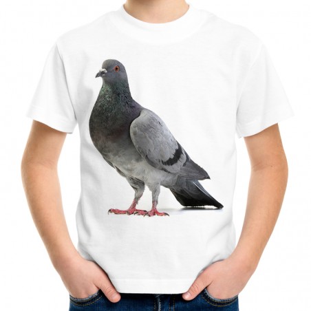 koszulka dziecięca z gołębiem nadruk t-shirt ptak