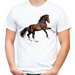 koszulka męska z koniem nadrukiem konia jeździecka odzież na prezent koszulki w konie sklep warszawa