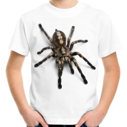 Koszulka z pająkiem tarantula włoska dla dziecka dziecięca spider z motywem nadrukiem pająka