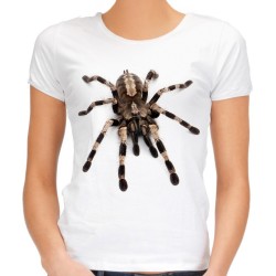 Koszulka z pająkiem tarantula t-shirt spider z nadrukiem motywem pająka