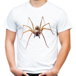 koszulka z pająkiem wilczym męska spider wolf t-shirt