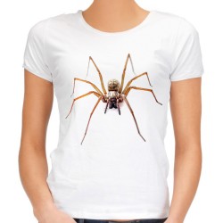 koszulka z pająkiem wilczym wolf damska spider t-shirt z nadrukiem motywem pająka