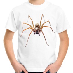 koszulka z pająkiem wilczym wolf dziecięca z nadrukiem motywem spider