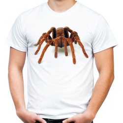 koszulka z pająkiem king pawian tarantula męska t-shirt z nadrukiem motywem pająka