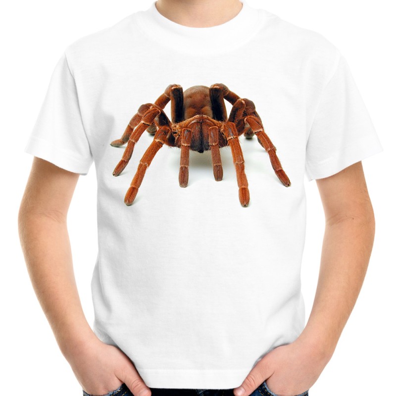 koszulka z pająkiem tarantula king pawian t-shirt z nadrukiem motywem pająka