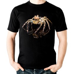 koszulka z pająkiem skakun dziecięca z nadrukiem motywem pająka spider Salticidae
