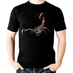 koszulka ze skorpionem dziecięca na prezent dla skorpiona z nadrukiem motywem skorpion