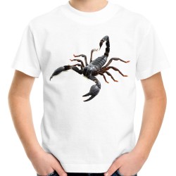 Koszulka ze skorpionem dziecięca na prezent dla skorpiona t-shirt z nadrukiem motywem skorpion